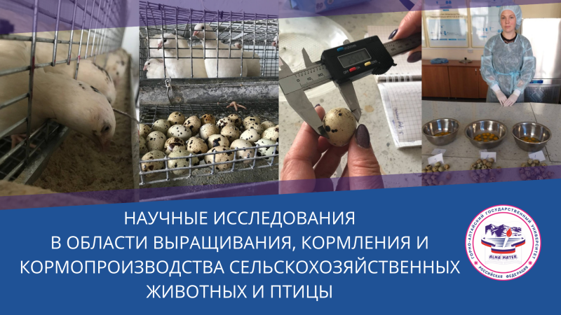 Научные исследования в области выращивания, кормления и кормопроизводства сельскохозяйственных животных и птицы
